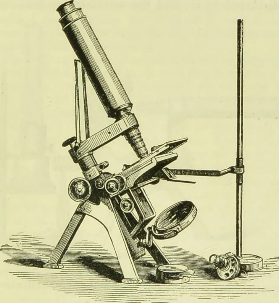 An illustration from The microscope : its history, construction, and application, being a familiar introduction to the use of the instrument, and the study of microscopical science / by Jabez Hogg ; with upwards of five hundred engravings, and coloured illustrations by Tuffen West., 1890, leaf 119