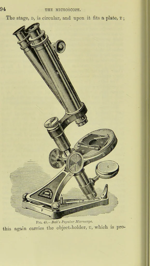 An illustration from The microscope : its history, construction, and application, being a familiar introduction to the use of the instrument, and the study of microscopical science / by Jabez Hogg ; with upwards of five hundred engravings, and coloured illustrations by Tuffen West., 1890, leaf 122