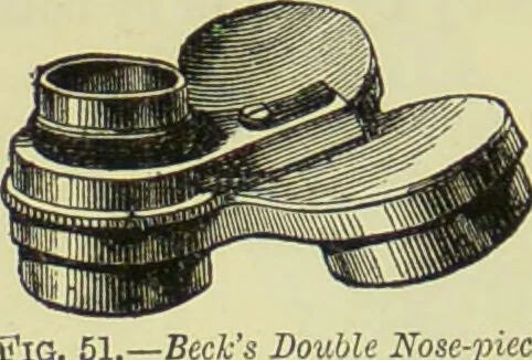 An illustration from The microscope : its history, construction, and application, being a familiar introduction to the use of the instrument, and the study of microscopical science / by Jabez Hogg ; with upwards of five hundred engravings, and coloured illustrations by Tuffen West., 1890, leaf 124