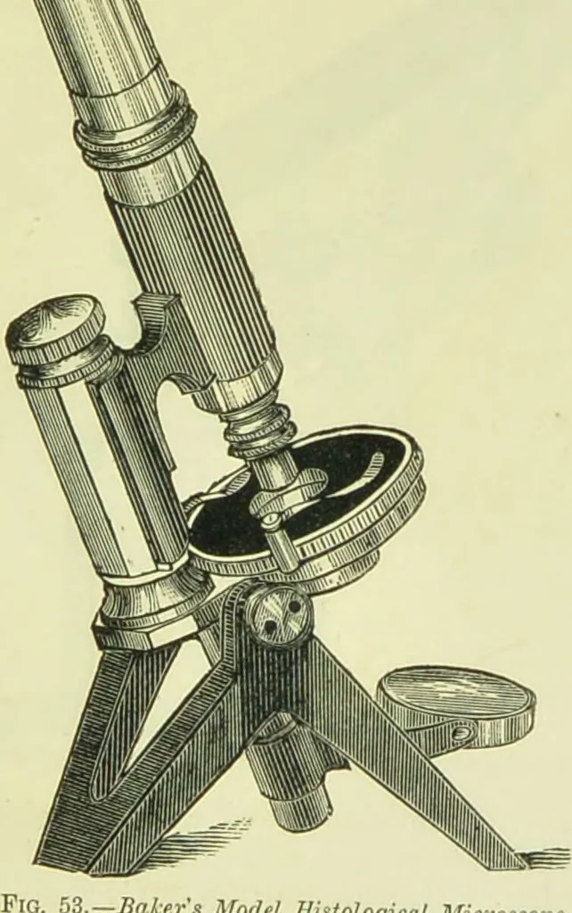 An illustration from The microscope : its history, construction, and application, being a familiar introduction to the use of the instrument, and the study of microscopical science / by Jabez Hogg ; with upwards of five hundred engravings, and coloured illustrations by Tuffen West., 1890, leaf 125
