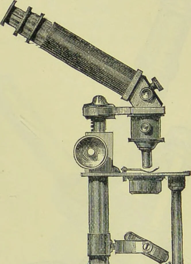 An illustration from The microscope : its history, construction, and application, being a familiar introduction to the use of the instrument, and the study of microscopical science / by Jabez Hogg ; with upwards of five hundred engravings, and coloured illustrations by Tuffen West., 1890, leaf 126