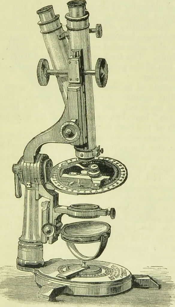 An illustration from The microscope : its history, construction, and application, being a familiar introduction to the use of the instrument, and the study of microscopical science / by Jabez Hogg ; with upwards of five hundred engravings, and coloured illustrations by Tuffen West., 1890, leaf 129