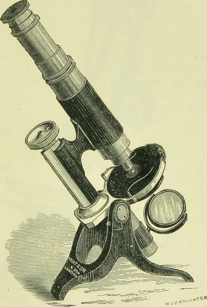 An illustration from The microscope : its history, construction, and application, being a familiar introduction to the use of the instrument, and the study of microscopical science / by Jabez Hogg ; with upwards of five hundred engravings, and coloured illustrations by Tuffen West., 1890, leaf 131