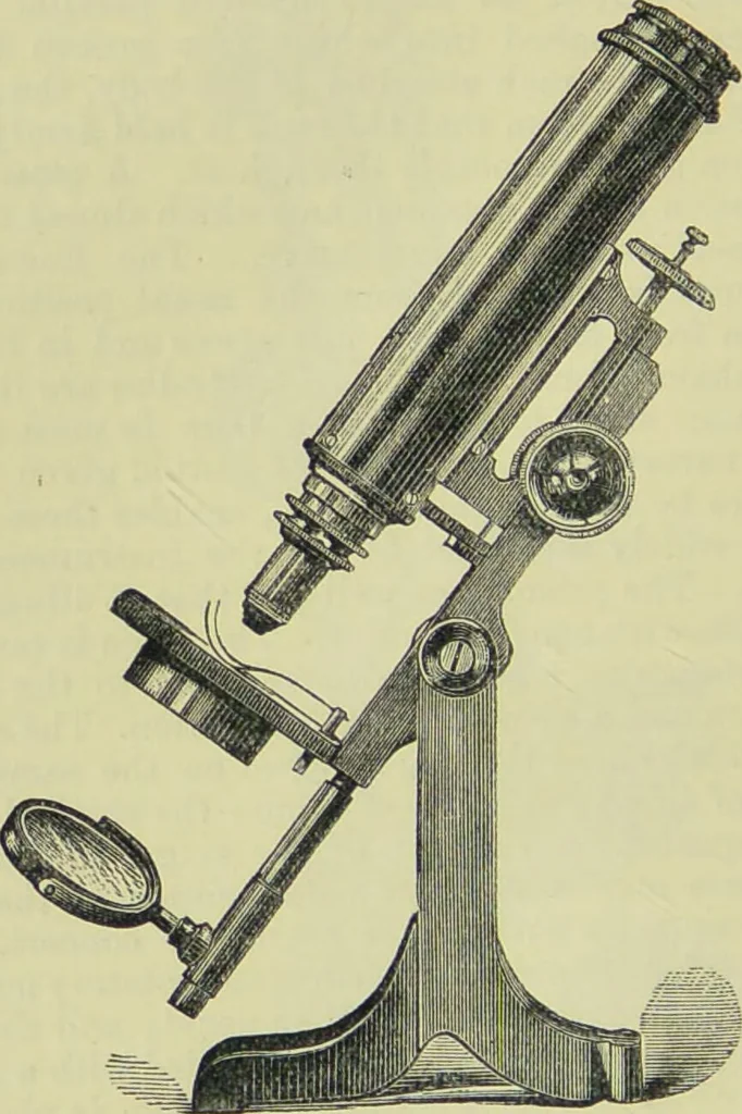 An illustration from The microscope : its history, construction, and application, being a familiar introduction to the use of the instrument, and the study of microscopical science / by Jabez Hogg ; with upwards of five hundred engravings, and coloured illustrations by Tuffen West., 1890, leaf 134