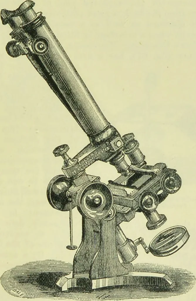An illustration from The microscope : its history, construction, and application, being a familiar introduction to the use of the instrument, and the study of microscopical science / by Jabez Hogg ; with upwards of five hundred engravings, and coloured illustrations by Tuffen West., 1890, leaf 135