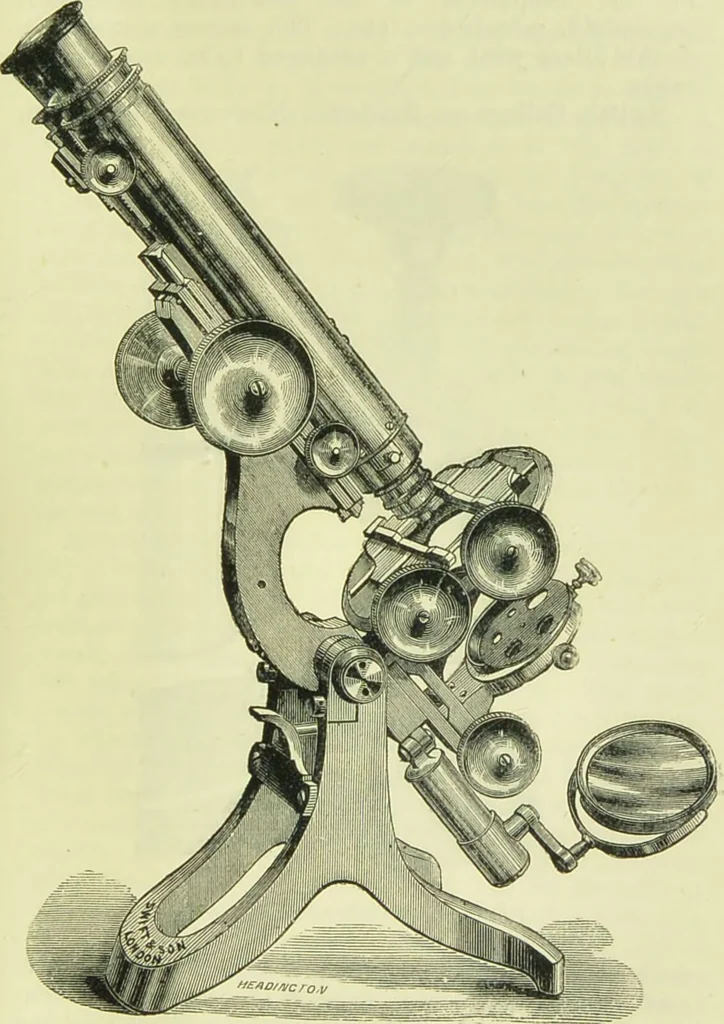An illustration from The microscope : its history, construction, and application, being a familiar introduction to the use of the instrument, and the study of microscopical science / by Jabez Hogg ; with upwards of five hundred engravings, and coloured illustrations by Tuffen West., 1890, leaf 137