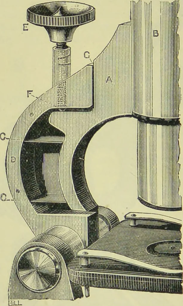 An illustration from The microscope : its history, construction, and application, being a familiar introduction to the use of the instrument, and the study of microscopical science / by Jabez Hogg ; with upwards of five hundred engravings, and coloured illustrations by Tuffen West., 1890, leaf 138