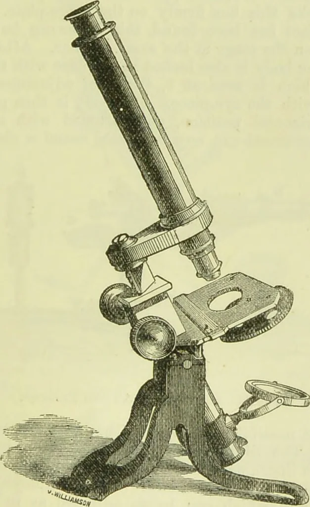 An illustration from The microscope : its history, construction, and application, being a familiar introduction to the use of the instrument, and the study of microscopical science / by Jabez Hogg ; with upwards of five hundred engravings, and coloured illustrations by Tuffen West., 1890, leaf 141
