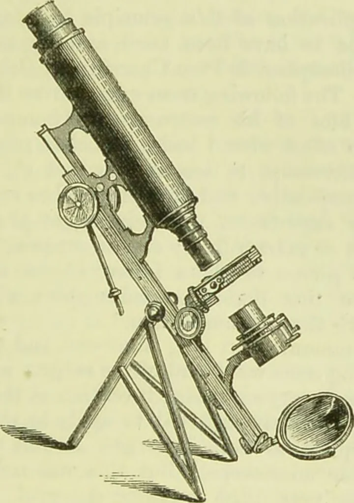 An illustration from The microscope : its history, construction, and application, being a familiar introduction to the use of the instrument, and the study of microscopical science / by Jabez Hogg ; with upwards of five hundred engravings, and coloured illustrations by Tuffen West., 1890, leaf 143