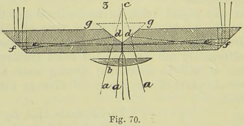 An illustration from The microscope : its history, construction, and application, being a familiar introduction to the use of the instrument, and the study of microscopical science / by Jabez Hogg ; with upwards of five hundred engravings, and coloured illustrations by Tuffen West., 1890, leaf 146
