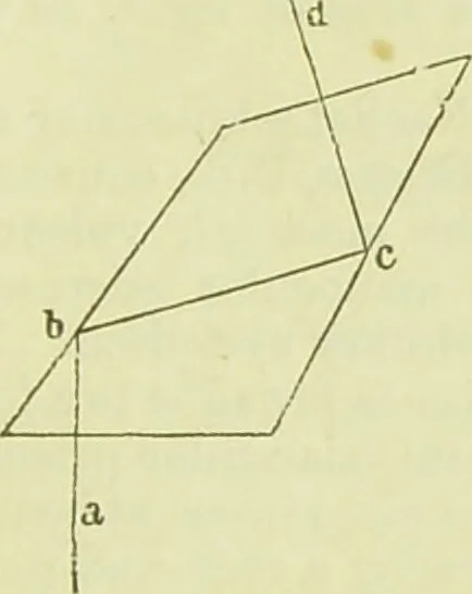 An illustration from The microscope : its history, construction, and application, being a familiar introduction to the use of the instrument, and the study of microscopical science / by Jabez Hogg ; with upwards of five hundred engravings, and coloured illustrations by Tuffen West., 1890, leaf 149