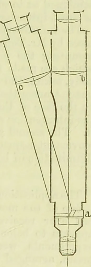 An illustration from The microscope : its history, construction, and application, being a familiar introduction to the use of the instrument, and the study of microscopical science / by Jabez Hogg ; with upwards of five hundred engravings, and coloured illustrations by Tuffen West., 1890, leaf 149