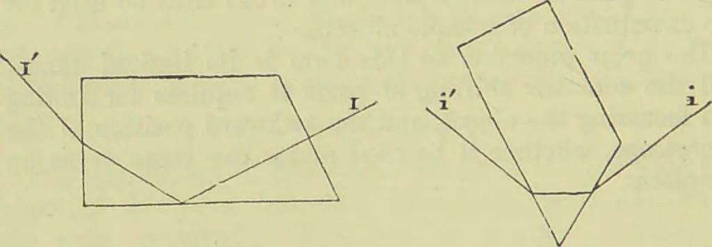An illustration from The microscope : its history, construction, and application, being a familiar introduction to the use of the instrument, and the study of microscopical science / by Jabez Hogg ; with upwards of five hundred engravings, and coloured illustrations by Tuffen West., 1890, leaf 152