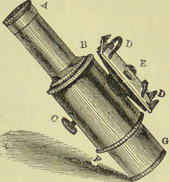 An illustration from The microscope : its history, construction, and application, being a familiar introduction to the use of the instrument, and the study of microscopical science / by Jabez Hogg ; with upwards of five hundred engravings, and coloured illustrations by Tuffen West., 1890, leaf 154
