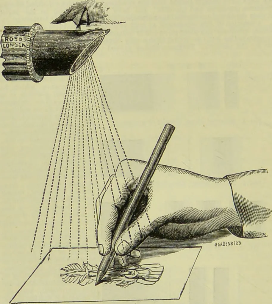 An illustration from The microscope : its history, construction, and application, being a familiar introduction to the use of the instrument, and the study of microscopical science / by Jabez Hogg ; with upwards of five hundred engravings, and coloured illustrations by Tuffen West., 1890, leaf 160