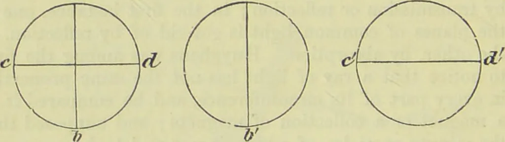 An illustration from The microscope : its history, construction, and application, being a familiar introduction to the use of the instrument, and the study of microscopical science / by Jabez Hogg ; with upwards of five hundred engravings, and coloured illustrations by Tuffen West., 1890, leaf 162