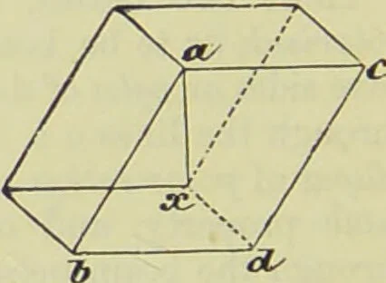 An illustration from The microscope : its history, construction, and application, being a familiar introduction to the use of the instrument, and the study of microscopical science / by Jabez Hogg ; with upwards of five hundred engravings, and coloured illustrations by Tuffen West., 1890, leaf 164