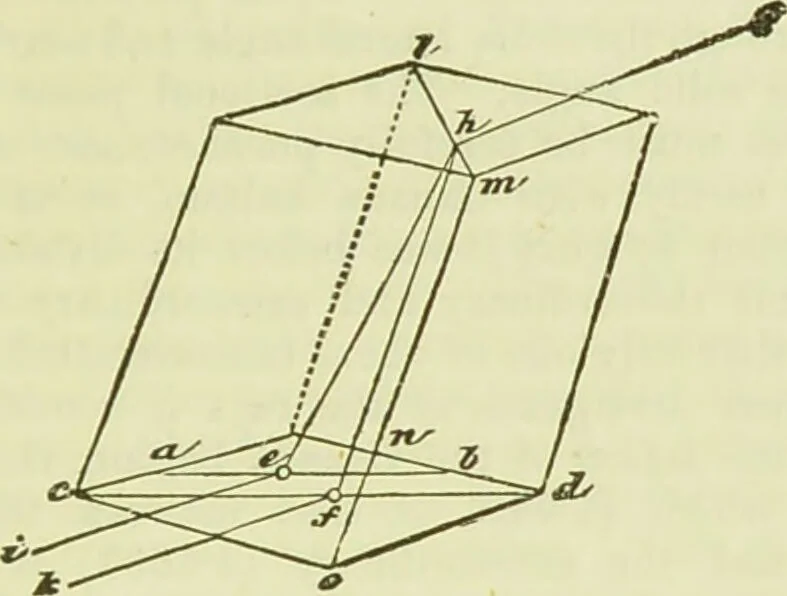 An illustration from The microscope : its history, construction, and application, being a familiar introduction to the use of the instrument, and the study of microscopical science / by Jabez Hogg ; with upwards of five hundred engravings, and coloured illustrations by Tuffen West., 1890, leaf 165