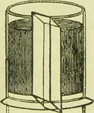 An illustration from The microscope : its history, construction, and application, being a familiar introduction to the use of the instrument, and the study of microscopical science / by Jabez Hogg ; with upwards of five hundred engravings, and coloured illustrations by Tuffen West., 1890, leaf 167