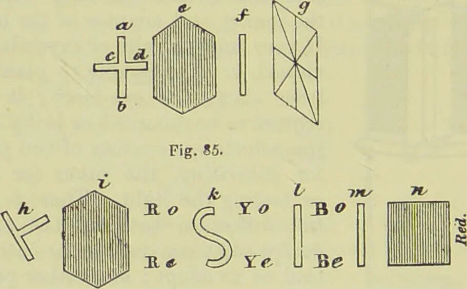 An illustration from The microscope : its history, construction, and application, being a familiar introduction to the use of the instrument, and the study of microscopical science / by Jabez Hogg ; with upwards of five hundred engravings, and coloured illustrations by Tuffen West., 1890, leaf 168