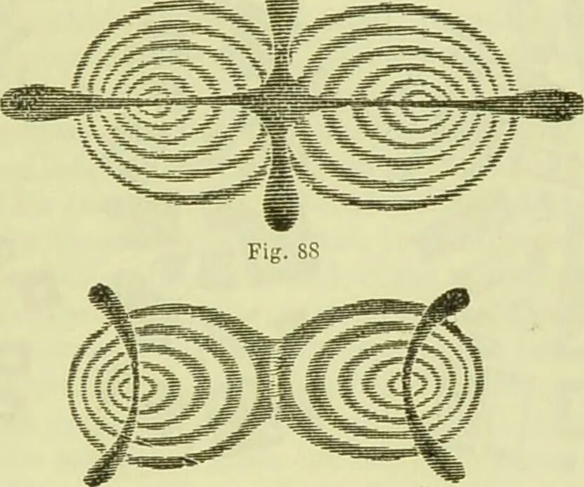 An illustration from The microscope : its history, construction, and application, being a familiar introduction to the use of the instrument, and the study of microscopical science / by Jabez Hogg ; with upwards of five hundred engravings, and coloured illustrations by Tuffen West., 1890, leaf 177