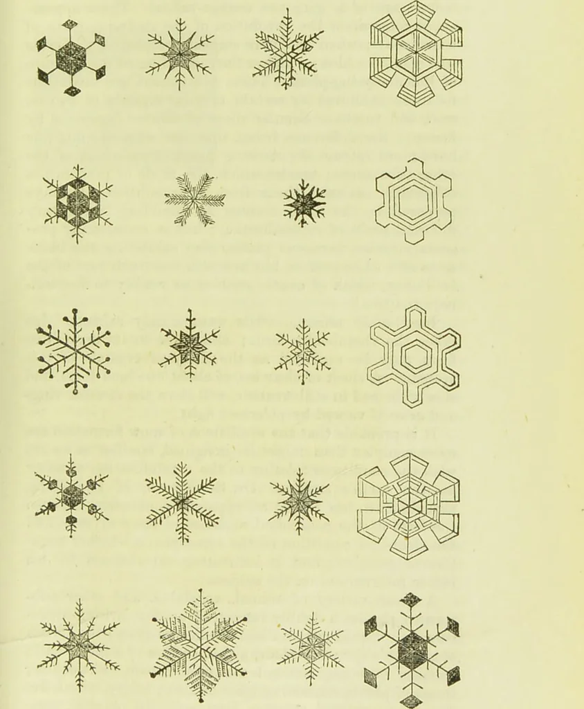 An illustration from The microscope : its history, construction, and application, being a familiar introduction to the use of the instrument, and the study of microscopical science / by Jabez Hogg ; with upwards of five hundred engravings, and coloured illustrations by Tuffen West., 1890, leaf 181