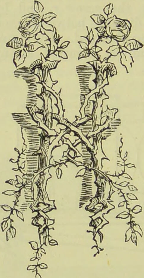 An illustration from The microscope : its history, construction, and application, being a familiar introduction to the use of the instrument, and the study of microscopical science / by Jabez Hogg ; with upwards of five hundred engravings, and coloured illustrations by Tuffen West., 1890, leaf 190