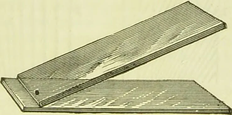 An illustration from The microscope : its history, construction, and application, being a familiar introduction to the use of the instrument, and the study of microscopical science / by Jabez Hogg ; with upwards of five hundred engravings, and coloured illustrations by Tuffen West., 1890, leaf 193