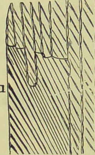 An illustration from The microscope : its history, construction, and application, being a familiar introduction to the use of the instrument, and the study of microscopical science / by Jabez Hogg ; with upwards of five hundred engravings, and coloured illustrations by Tuffen West., 1890, leaf 194