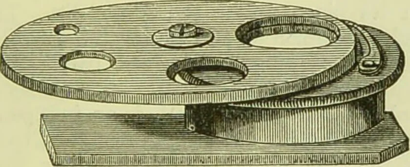 An illustration from The microscope : its history, construction, and application, being a familiar introduction to the use of the instrument, and the study of microscopical science / by Jabez Hogg ; with upwards of five hundred engravings, and coloured illustrations by Tuffen West., 1890, leaf 197