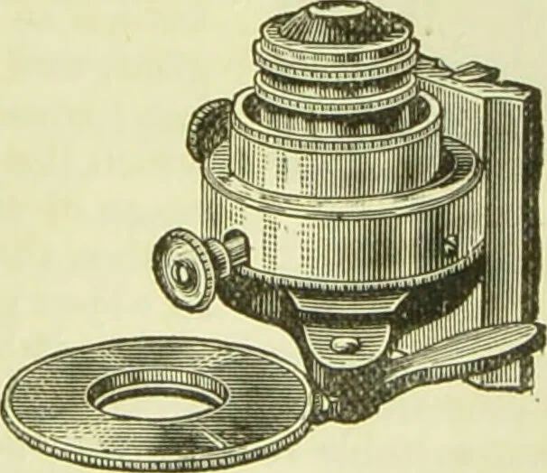 An illustration from The microscope : its history, construction, and application, being a familiar introduction to the use of the instrument, and the study of microscopical science / by Jabez Hogg ; with upwards of five hundred engravings, and coloured illustrations by Tuffen West., 1890, leaf 199