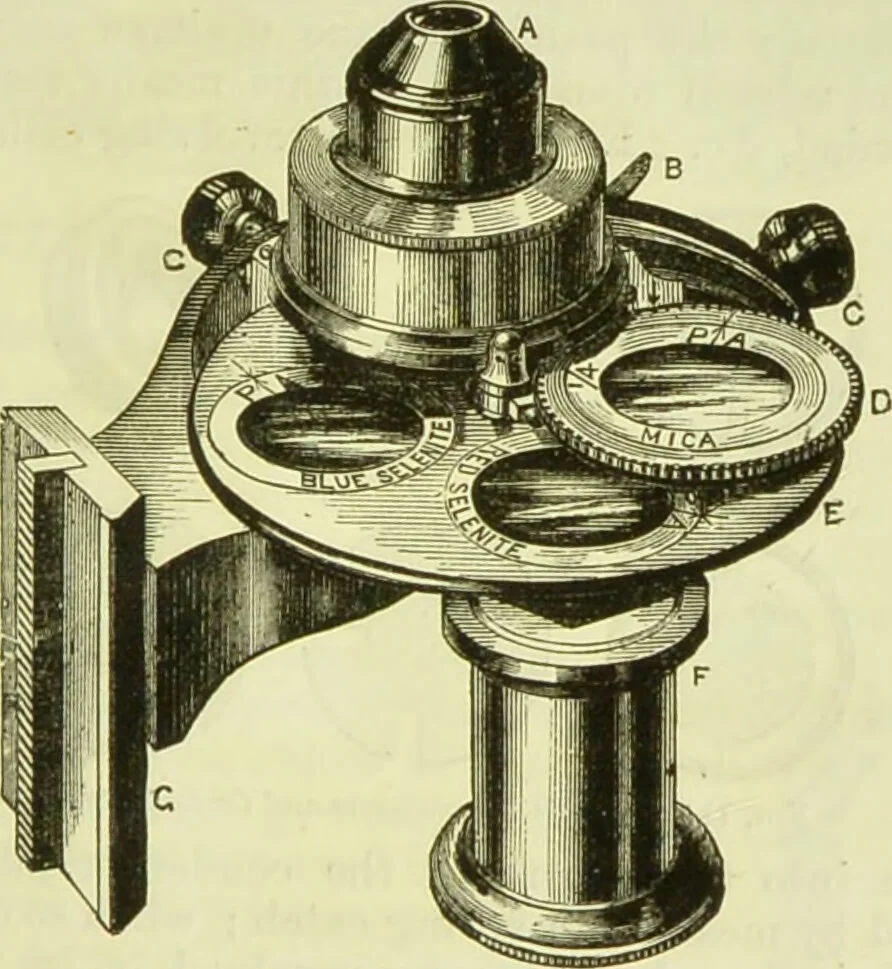 An illustration from The microscope : its history, construction, and application, being a familiar introduction to the use of the instrument, and the study of microscopical science / by Jabez Hogg ; with upwards of five hundred engravings, and coloured illustrations by Tuffen West., 1890, leaf 209