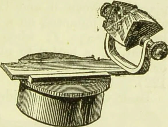 An illustration from The microscope : its history, construction, and application, being a familiar introduction to the use of the instrument, and the study of microscopical science / by Jabez Hogg ; with upwards of five hundred engravings, and coloured illustrations by Tuffen West., 1890, leaf 215