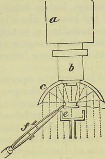 An illustration from The microscope : its history, construction, and application, being a familiar introduction to the use of the instrument, and the study of microscopical science / by Jabez Hogg ; with upwards of five hundred engravings, and coloured illustrations by Tuffen West., 1890, leaf 216