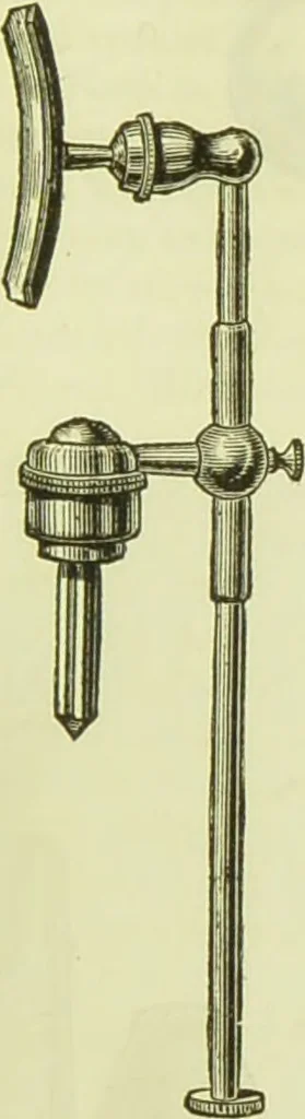 An illustration from The microscope : its history, construction, and application, being a familiar introduction to the use of the instrument, and the study of microscopical science / by Jabez Hogg ; with upwards of five hundred engravings, and coloured illustrations by Tuffen West., 1890, leaf 217