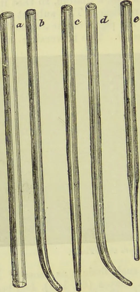 An illustration from The microscope : its history, construction, and application, being a familiar introduction to the use of the instrument, and the study of microscopical science / by Jabez Hogg ; with upwards of five hundred engravings, and coloured illustrations by Tuffen West., 1890, leaf 220