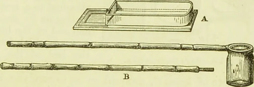 An illustration from The microscope : its history, construction, and application, being a familiar introduction to the use of the instrument, and the study of microscopical science / by Jabez Hogg ; with upwards of five hundred engravings, and coloured illustrations by Tuffen West., 1890, leaf 221