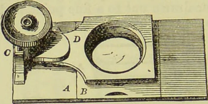 An illustration from The microscope : its history, construction, and application, being a familiar introduction to the use of the instrument, and the study of microscopical science / by Jabez Hogg ; with upwards of five hundred engravings, and coloured illustrations by Tuffen West., 1890, leaf 222