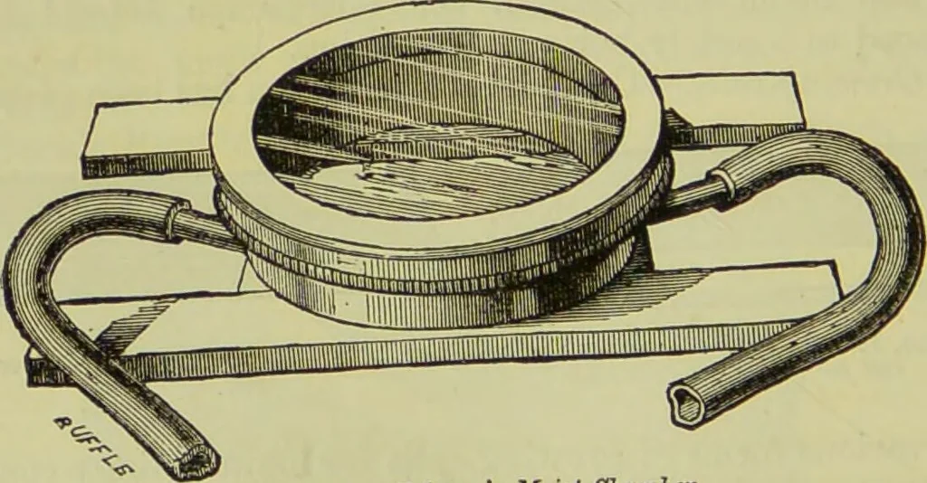 An illustration from The microscope : its history, construction, and application, being a familiar introduction to the use of the instrument, and the study of microscopical science / by Jabez Hogg ; with upwards of five hundred engravings, and coloured illustrations by Tuffen West., 1890, leaf 224