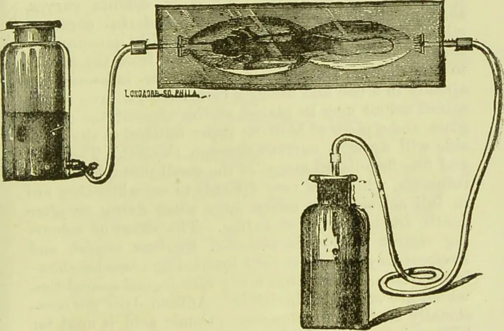 An illustration from The microscope : its history, construction, and application, being a familiar introduction to the use of the instrument, and the study of microscopical science / by Jabez Hogg ; with upwards of five hundred engravings, and coloured illustrations by Tuffen West., 1890, leaf 225