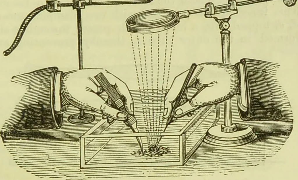 An illustration from The microscope : its history, construction, and application, being a familiar introduction to the use of the instrument, and the study of microscopical science / by Jabez Hogg ; with upwards of five hundred engravings, and coloured illustrations by Tuffen West., 1890, leaf 229