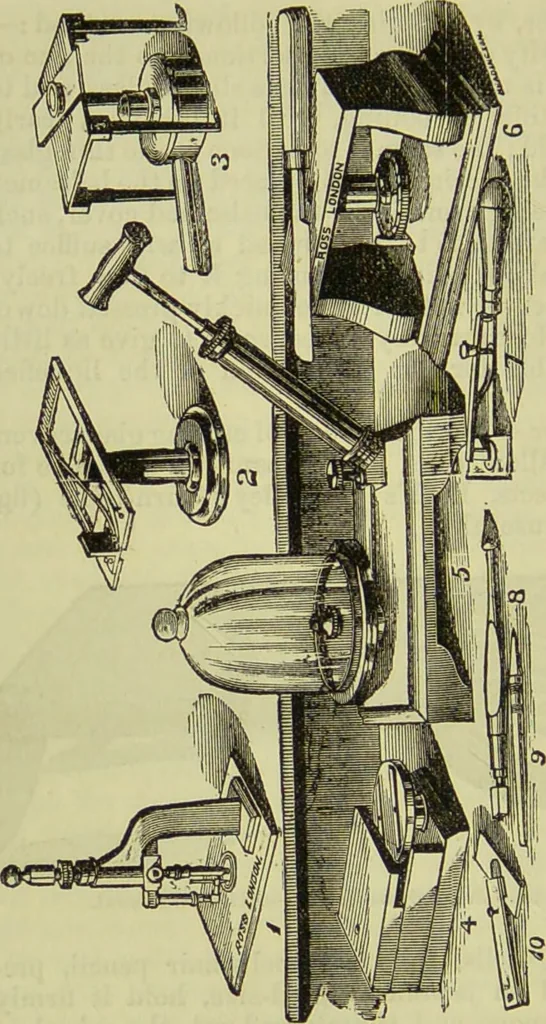 An illustration from The microscope : its history, construction, and application, being a familiar introduction to the use of the instrument, and the study of microscopical science / by Jabez Hogg ; with upwards of five hundred engravings, and coloured illustrations by Tuffen West., 1890, leaf 238
