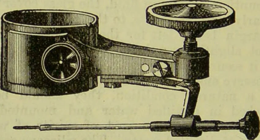 An illustration from The microscope : its history, construction, and application, being a familiar introduction to the use of the instrument, and the study of microscopical science / by Jabez Hogg ; with upwards of five hundred engravings, and coloured illustrations by Tuffen West., 1890, leaf 246