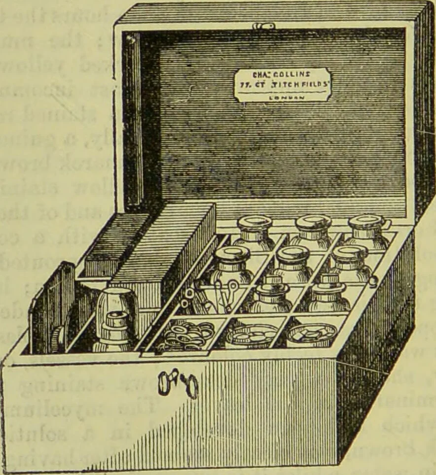 An illustration from The microscope : its history, construction, and application, being a familiar introduction to the use of the instrument, and the study of microscopical science / by Jabez Hogg ; with upwards of five hundred engravings, and coloured illustrations by Tuffen West., 1890, leaf 282