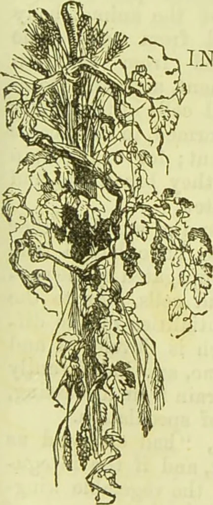 An illustration from The microscope : its history, construction, and application, being a familiar introduction to the use of the instrument, and the study of microscopical science / by Jabez Hogg ; with upwards of five hundred engravings, and coloured illustrations by Tuffen West., 1890, leaf 285