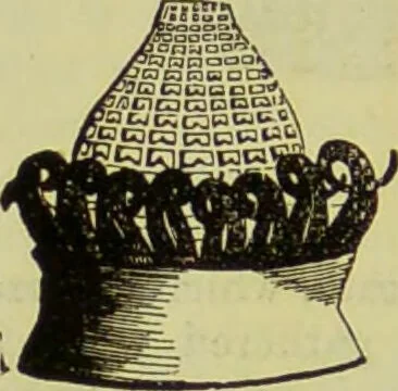 An illustration from The microscope : its history, construction, and application, being a familiar introduction to the use of the instrument, and the study of microscopical science / by Jabez Hogg ; with upwards of five hundred engravings, and coloured illustrations by Tuffen West., 1890, leaf 342