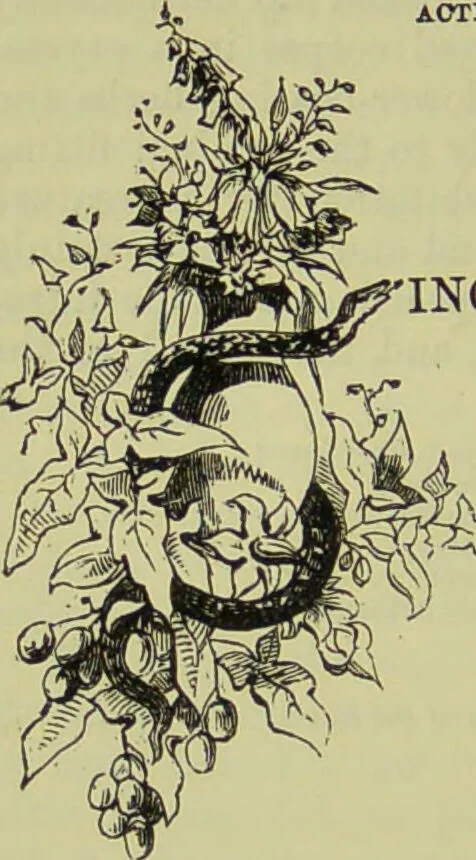 An illustration from The microscope : its history, construction, and application, being a familiar introduction to the use of the instrument, and the study of microscopical science / by Jabez Hogg ; with upwards of five hundred engravings, and coloured illustrations by Tuffen West., 1890, leaf 398