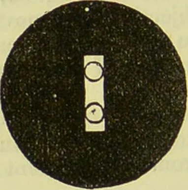 An illustration from The microscope : its history, construction, and application, being a familiar introduction to the use of the instrument, and the study of microscopical science / by Jabez Hogg ; with upwards of five hundred engravings, and coloured illustrations by Tuffen West., 1890, leaf 50