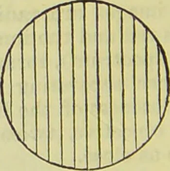An illustration from The microscope : its history, construction, and application, being a familiar introduction to the use of the instrument, and the study of microscopical science / by Jabez Hogg ; with upwards of five hundred engravings, and coloured illustrations by Tuffen West., 1890, leaf 50