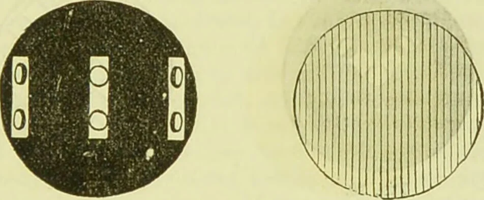 An illustration from The microscope : its history, construction, and application, being a familiar introduction to the use of the instrument, and the study of microscopical science / by Jabez Hogg ; with upwards of five hundred engravings, and coloured illustrations by Tuffen West., 1890, leaf 51